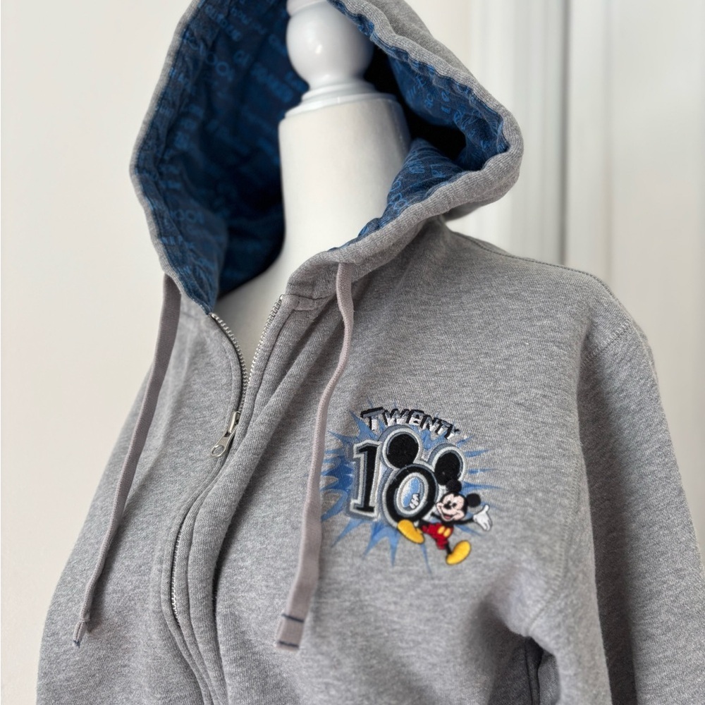 2010 WDW zip—up hoodie